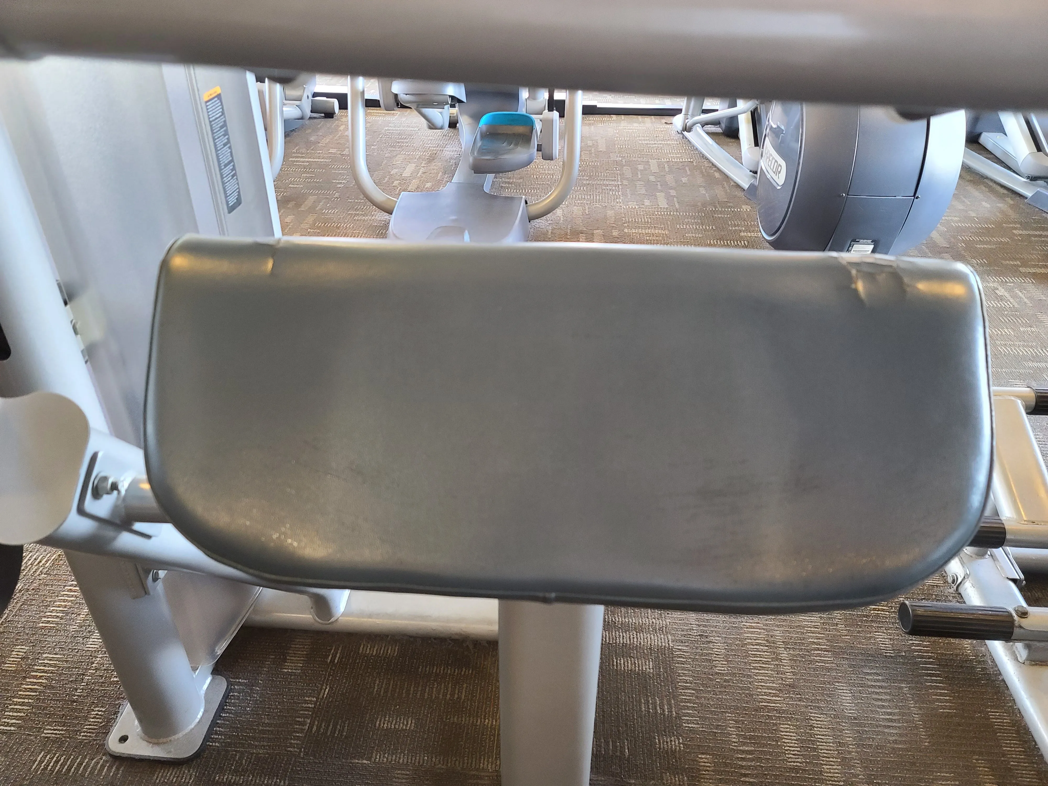 Precor Vitality Series Tricep Extension C023ES